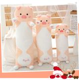  Gối ôm heo hug me 4 size 