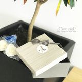  Hộp quà nơ tháp 