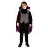 Trang phục hóa trang Halloween bé trai bộ Purple Vampire