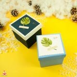  Hộp quà vuông lá 
