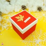  Hộp quà vuông lá 