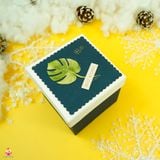  Hộp quà vuông lá 