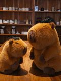  Capybara Có Tóc 