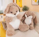  Thỏ Bunny Mặt Qụao 