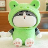  Mèo Hoàng Thượng Nón Thú Size 20cm 