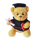  Thú Bông Gấu Bông Ngồi Mặc Áo Cử Nhân - Chipchipshop 