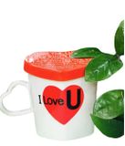  Ly Nắp Tim Chữ I Love You Nền Trắng - Chipchipshop 