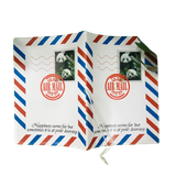  Passport Bao Thư Gấu Trúc - Chipchipshop 