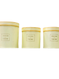  Hộp Qùa Trụ Tròn Cắm Hoa Mẫu MAISON & FLEURS Màu Vàng - Chipchipshop 