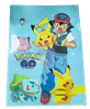  File Nhựa HS Pokemon Size 22x30 - Chipchipshop 