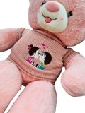  Thú Bông Gấu Teddy Áo Len Bé Gái Bé Trai Size 80cm - Chipchipshop 