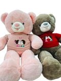  Thú Bông Gấu Teddy Áo Len Bé Gái Bé Trai Size 80cm - Chipchipshop 