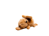  Thú Bông Capybara Vỗ Cánh Đeo Tay Màu Nâu - Chipchipshop 