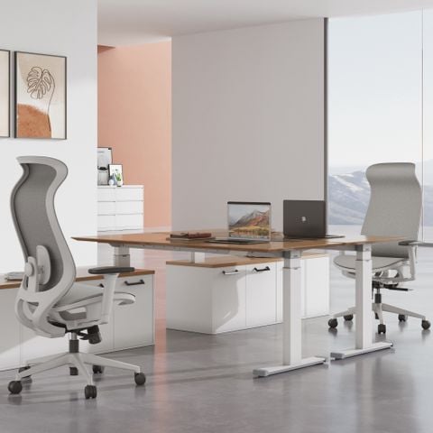  Ghế công thái học 9Space FlowMaster - Sự Kết Hợp Hoàn Hảo Giữa Thoải Mái và Hiệu Suất Làm Việc 