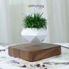  Chậu Cây Lơ Lửng Levitating Plant - Sáng tạo trong việc chăm sóc cây trong nhà 