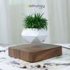  Chậu Cây Lơ Lửng - Levitating Plant 