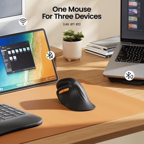  Chuột Công Thái Học ProtoArc EM11 NL & EM05 NL - Ergonomic, DPI 2400, Kết Nối 3 Thiết Bị, Sạc USB-C, Không Dây Bluetooth 