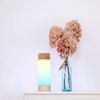  Tide.lamp – Kết nối đại dương & Liệu pháp ánh sáng thư giãn 
