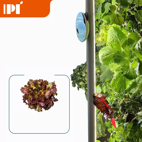  Trồng thủy canh PLANTLOFT - Vườn Thủy Canh Thông Minh Tự Động Cho Gia Đình 