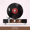  Đầu Đĩa Than Dọc Floating Record - Gramovox | Mâm Đĩa Than Retro Từ Chicago 