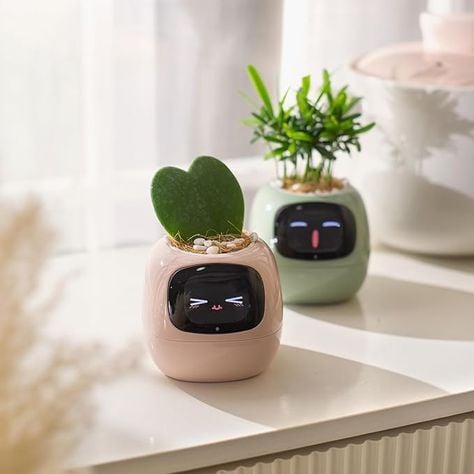  Robot chậu cây thông minh IVY - Tích hợp công nghệ AI với trí thông minh cảm xúc 