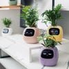  Robot chậu cây thông minh IVY - Tích hợp công nghệ AI với trí thông minh cảm xúc 