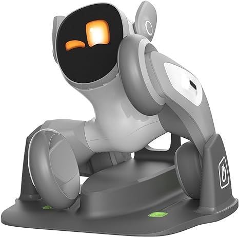  Robot thông minh Loona - Người bạn đồng hành thông minh 