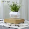  Chậu Cây Lơ Lửng Levitating Plant - Sáng tạo trong việc chăm sóc cây trong nhà 