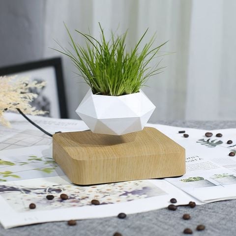  Chậu Cây Lơ Lửng Levitating Plant - Sáng tạo trong việc chăm sóc cây trong nhà 