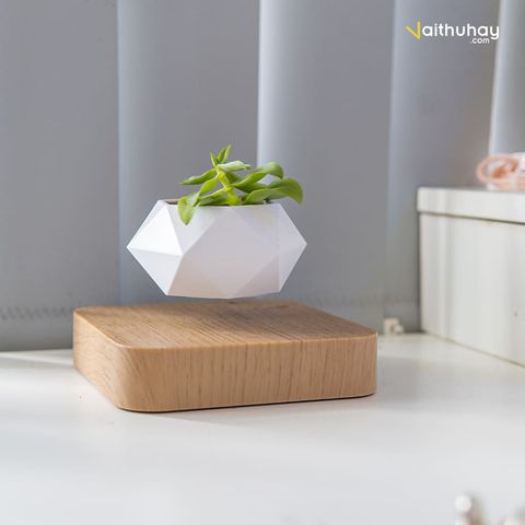  Chậu Cây Lơ Lửng Levitating Plant - Sáng tạo trong việc chăm sóc cây trong nhà 