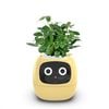  Robot chậu cây thông minh IVY - Tích hợp công nghệ AI với trí thông minh cảm xúc 