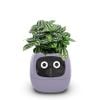  Robot chậu cây thông minh IVY - Tích hợp công nghệ AI với trí thông minh cảm xúc 
