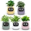  Robot chậu cây thông minh IVY - Tích hợp công nghệ AI với trí thông minh cảm xúc 