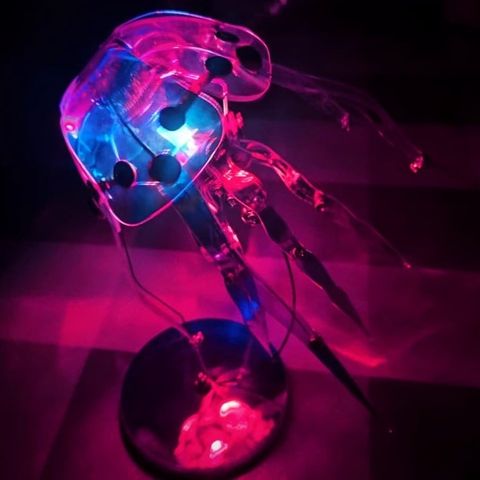  Mô hình kim loại 3D DIY con sứa biển màu sắc - Quan Sát Vũ Trụ Huyền Ảo 