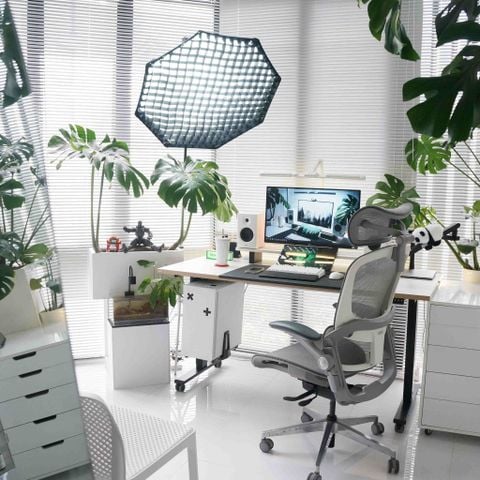  Ghế công thái học Epione EasyChair 2.0 