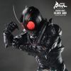  Mô hình 3D DIY HOTTOYS Kamen Rider Black Sun TMS100B 