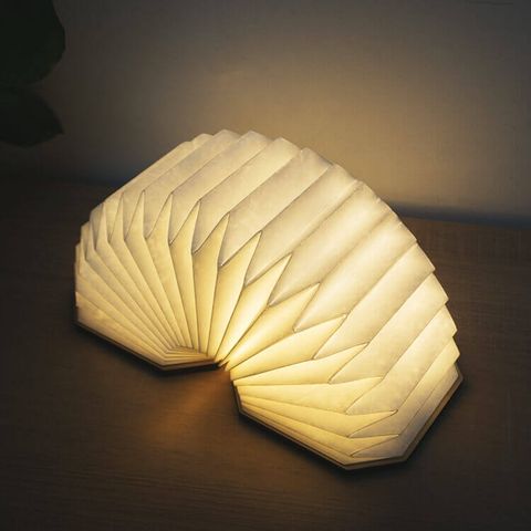  Accordion Lamp - Đèn gấp gọn đa năng, Ánh sáng đầy cảm hứng 