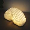  Accordion Lamp - Đèn gấp gọn đa năng, Ánh sáng đầy cảm hứng 