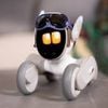  Robot thông minh Loona - Người bạn đồng hành thông minh 