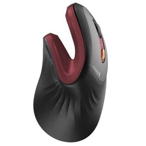  Chuột Công Thái Học ProtoArc EM11 NL & EM05 NL - Ergonomic, DPI 2400, Kết Nối 3 Thiết Bị, Sạc USB-C, Không Dây Bluetooth 