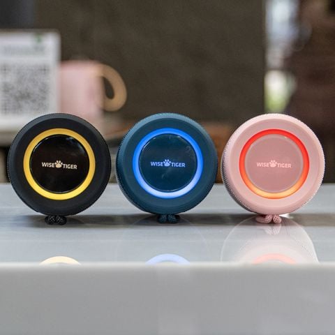  [HÀNG SẴN GIAO NGAY] Loa Bluetooth Wise Tiger P1S - Âm Thanh 15W Mạnh Mẽ + Khả Năng Chống Nước IPX7 