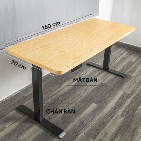  Bàn nâng hạ tự động 9SPACE Ergonomic Desk Core 