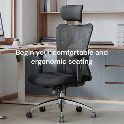  Ghế công thái học Sihoo M18, Hỗ trợ nâng đỡ tối đa cho cột sống, Lưới chất lượng cao (PP+Fiber) bền bỉ 