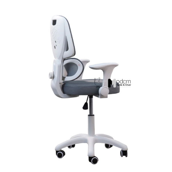 Ghế lưới học sinh có giá đỡ cột sống nhiều màu CE1034-M