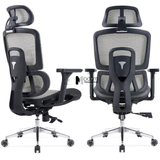 Ghế xoay lưng lưới văn phòng công thái học CM4559-M