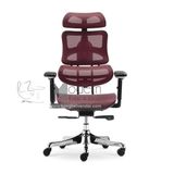 Ghế lưới giám đốc ergonomic CM4282-M