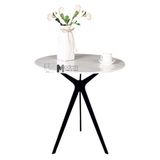 Bộ bàn sofa tiếp khách nhỏ TS0959-05E_CS0929-P