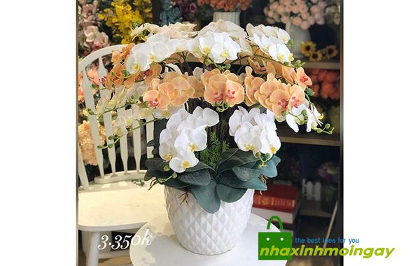 Bình hoa lan hồ điệp vải cao cấp