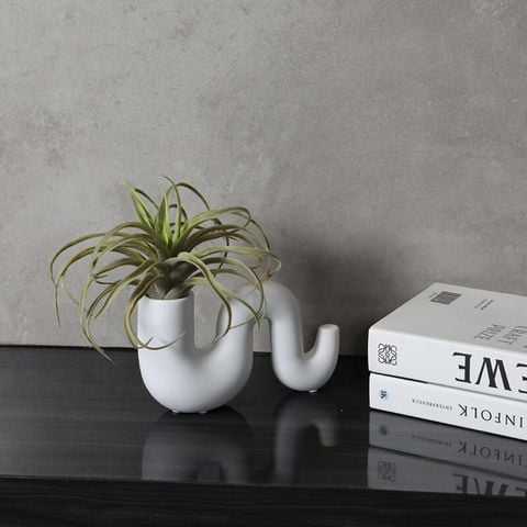 Bình sứ uốn trắng đen nghệ thuật