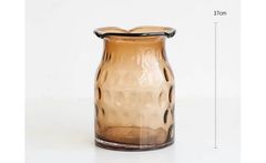 Bình thủy tinh cắm hoa NX001